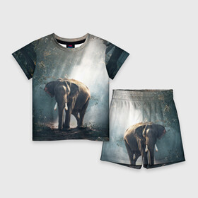 Детский костюм с шортами 3D с принтом Слон в лесу в Курске,  |  | африка | африканский | бивни | большой | гигант джунгли | зоопарк | индийский | индия | лесной великан | мамонт | огромный | саванна | сафари | серый | слон | слоненок | слониха | стадо | уши | хобот