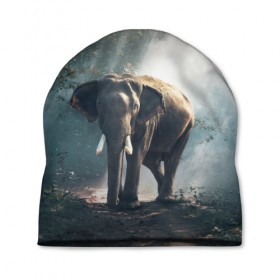 Шапка 3D с принтом Слон в лесу в Курске, 100% полиэстер | универсальный размер, печать по всей поверхности изделия | африка | африканский | бивни | большой | гигант джунгли | зоопарк | индийский | индия | лесной великан | мамонт | огромный | саванна | сафари | серый | слон | слоненок | слониха | стадо | уши | хобот