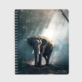 Тетрадь с принтом Слон в лесу в Курске, 100% бумага | 48 листов, плотность листов — 60 г/м2, плотность картонной обложки — 250 г/м2. Листы скреплены сбоку удобной пружинной спиралью. Уголки страниц и обложки скругленные. Цвет линий — светло-серый
 | Тематика изображения на принте: африка | африканский | бивни | большой | гигант джунгли | зоопарк | индийский | индия | лесной великан | мамонт | огромный | саванна | сафари | серый | слон | слоненок | слониха | стадо | уши | хобот