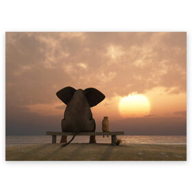 Поздравительная открытка с принтом Слон с собакой на лавке, закат в Курске, 100% бумага | плотность бумаги 280 г/м2, матовая, на обратной стороне линовка и место для марки
 | 