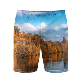 Мужские шорты 3D спортивные с принтом Река в Курске,  |  | берег | вода | деревья | лес | небо | осень | природа | река