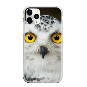 Чехол для iPhone 11 Pro матовый с принтом Белый филин в Курске, Силикон |  | глаза | клюв | когти | крылья | лес | летать | мудрая | мудрость | неясыть | ночная | ночь | охота | перья | полярная | почтовая | птица | серая | сова | совенок | сон | сыч | умная | филин | хищник