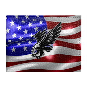 Обложка для студенческого билета с принтом Флаг США с орлом в Курске, натуральная кожа | Размер: 11*8 см; Печать на всей внешней стороне | usa | америка | белоголовый | герб | государство | доллар | дядя сэм | звездно полосатый флаг | лысый | нато | оон | орел | птица | свобода | символ | соединённые штаты америки | страна | сша | штат