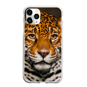 Чехол для iPhone 11 Pro Max матовый с принтом Jaguar в Курске, Силикон |  | Тематика изображения на принте: глаза | дикая кошка | кошка | леопард | сафари | хищник | ягуар