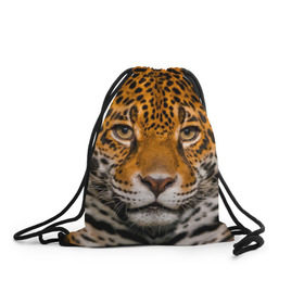 Рюкзак-мешок 3D с принтом Jaguar в Курске, 100% полиэстер | плотность ткани — 200 г/м2, размер — 35 х 45 см; лямки — толстые шнурки, застежка на шнуровке, без карманов и подкладки | Тематика изображения на принте: глаза | дикая кошка | кошка | леопард | сафари | хищник | ягуар