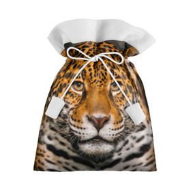 Подарочный 3D мешок с принтом Jaguar в Курске, 100% полиэстер | Размер: 29*39 см | глаза | дикая кошка | кошка | леопард | сафари | хищник | ягуар