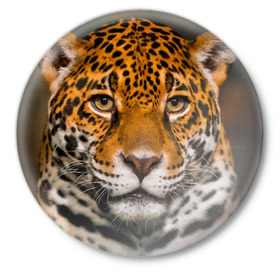 Значок с принтом Jaguar в Курске,  металл | круглая форма, металлическая застежка в виде булавки | Тематика изображения на принте: глаза | дикая кошка | кошка | леопард | сафари | хищник | ягуар