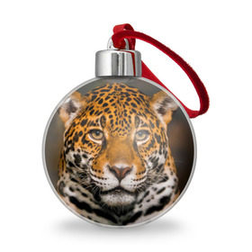Ёлочный шар с принтом Jaguar в Курске, Пластик | Диаметр: 77 мм | глаза | дикая кошка | кошка | леопард | сафари | хищник | ягуар