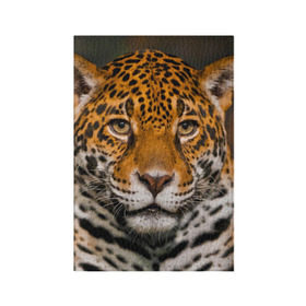 Обложка для паспорта матовая кожа с принтом Jaguar в Курске, натуральная матовая кожа | размер 19,3 х 13,7 см; прозрачные пластиковые крепления | глаза | дикая кошка | кошка | леопард | сафари | хищник | ягуар