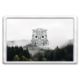 Магнит 45*70 с принтом Twin Peaks в Курске, Пластик | Размер: 78*52 мм; Размер печати: 70*45 | twin peaks твин пикс | девид линч | лес | лора палмер | сова | туман