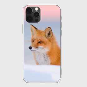 Чехол для iPhone 12 Pro Max с принтом Morning в Курске, Силикон |  | Тематика изображения на принте: fox | red | лиса | лисенок | рыжая
