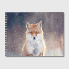 Альбом для рисования с принтом Eyes в Курске, 100% бумага
 | матовая бумага, плотность 200 мг. | Тематика изображения на принте: fox | red | лиса | лисенок | рыжая