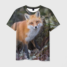 Мужская футболка 3D с принтом Лес в Курске, 100% полиэфир | прямой крой, круглый вырез горловины, длина до линии бедер | fox | red | лиса | лисенок | рыжая