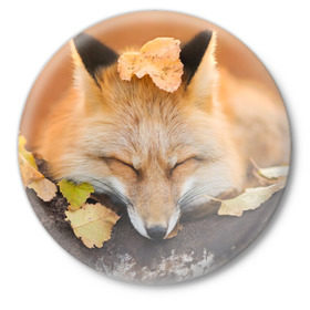 Значок с принтом Соня в Курске,  металл | круглая форма, металлическая застежка в виде булавки | Тематика изображения на принте: fox | red | лиса | лисенок | рыжая