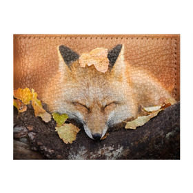 Обложка для студенческого билета с принтом Соня в Курске, натуральная кожа | Размер: 11*8 см; Печать на всей внешней стороне | fox | red | лиса | лисенок | рыжая