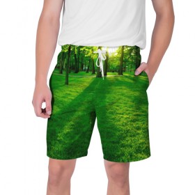 Мужские шорты 3D с принтом Лес 3 в Курске,  полиэстер 100% | прямой крой, два кармана без застежек по бокам. Мягкая трикотажная резинка на поясе, внутри которой широкие завязки. Длина чуть выше колен | 