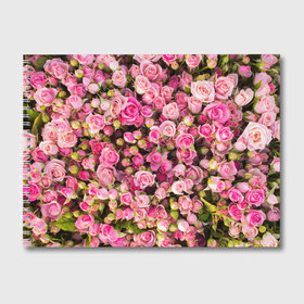Альбом для рисования с принтом Розовый рай в Курске, 100% бумага
 | матовая бумага, плотность 200 мг. | Тематика изображения на принте: бутон | лепестки | роза | розовый | розочка | цветок | цветы