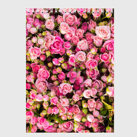 Скетчбук с принтом Розовый рай в Курске, 100% бумага
 | 48 листов, плотность листов — 100 г/м2, плотность картонной обложки — 250 г/м2. Листы скреплены сверху удобной пружинной спиралью | Тематика изображения на принте: бутон | лепестки | роза | розовый | розочка | цветок | цветы