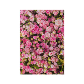 Обложка для паспорта матовая кожа с принтом Розовый рай в Курске, натуральная матовая кожа | размер 19,3 х 13,7 см; прозрачные пластиковые крепления | бутон | лепестки | роза | розовый | розочка | цветок | цветы