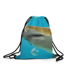 Рюкзак-мешок 3D с принтом Тигровая акула в Курске, 100% полиэстер | плотность ткани — 200 г/м2, размер — 35 х 45 см; лямки — толстые шнурки, застежка на шнуровке, без карманов и подкладки | Тематика изображения на принте: голубое море | океан | рыба