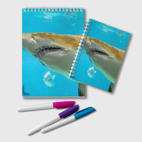 Блокнот с принтом Тигровая акула в Курске, 100% бумага | 48 листов, плотность листов — 60 г/м2, плотность картонной обложки — 250 г/м2. Листы скреплены удобной пружинной спиралью. Цвет линий — светло-серый
 | Тематика изображения на принте: голубое море | океан | рыба