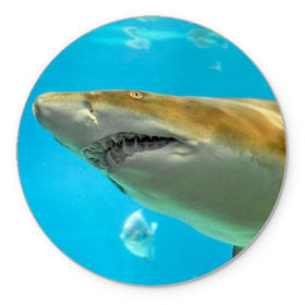 Коврик круглый с принтом Тигровая акула в Курске, резина и полиэстер | круглая форма, изображение наносится на всю лицевую часть | Тематика изображения на принте: голубое море | океан | рыба
