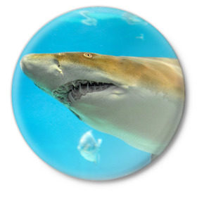 Значок с принтом Тигровая акула в Курске,  металл | круглая форма, металлическая застежка в виде булавки | Тематика изображения на принте: голубое море | океан | рыба