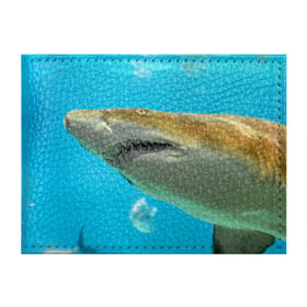 Обложка для студенческого билета с принтом Тигровая акула в Курске, натуральная кожа | Размер: 11*8 см; Печать на всей внешней стороне | голубое море | океан | рыба