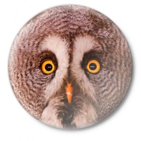 Значок с принтом Кофе в Курске,  металл | круглая форма, металлическая застежка в виде булавки | owl | мудрость | птица | сова | филин