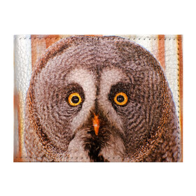 Обложка для студенческого билета с принтом Кофе в Курске, натуральная кожа | Размер: 11*8 см; Печать на всей внешней стороне | Тематика изображения на принте: owl | мудрость | птица | сова | филин