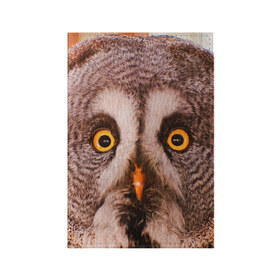 Обложка для паспорта матовая кожа с принтом Кофе в Курске, натуральная матовая кожа | размер 19,3 х 13,7 см; прозрачные пластиковые крепления | owl | мудрость | птица | сова | филин