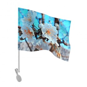Флаг для автомобиля с принтом Весна в Курске, 100% полиэстер | Размер: 30*21 см | 3d | flower | весна | другие | красивые цветы | красные | лето | поле | полевой цветок | прикольные | природа | текстуры | цветочки | цветы