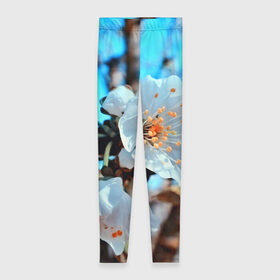 Леггинсы 3D с принтом Весна в Курске, 80% полиэстер, 20% эластан | Эластичный пояс, зауженные к низу, низкая посадка | 3d | flower | весна | другие | красивые цветы | красные | лето | поле | полевой цветок | прикольные | природа | текстуры | цветочки | цветы