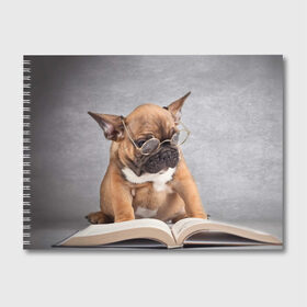 Альбом для рисования с принтом Читает в Курске, 100% бумага
 | матовая бумага, плотность 200 мг. | dog | мопс | пес | собака