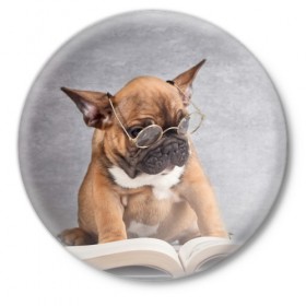 Значок с принтом Читает в Курске,  металл | круглая форма, металлическая застежка в виде булавки | Тематика изображения на принте: dog | мопс | пес | собака