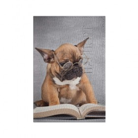 Обложка для паспорта матовая кожа с принтом Читает в Курске, натуральная матовая кожа | размер 19,3 х 13,7 см; прозрачные пластиковые крепления | Тематика изображения на принте: dog | мопс | пес | собака