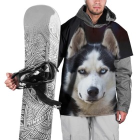 Накидка на куртку 3D с принтом Хаски в Курске, 100% полиэстер |  | Тематика изображения на принте: dog | лабрадор | мопс | пес | собака | такса | хаски | щеночек