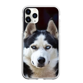 Чехол для iPhone 11 Pro матовый с принтом Хаски в Курске, Силикон |  | dog | лабрадор | мопс | пес | собака | такса | хаски | щеночек