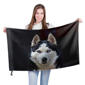 Флаг 3D с принтом Хаски в Курске, 100% полиэстер | плотность ткани — 95 г/м2, размер — 67 х 109 см. Принт наносится с одной стороны | Тематика изображения на принте: dog | лабрадор | мопс | пес | собака | такса | хаски | щеночек