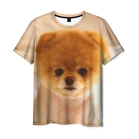 Мужская футболка 3D с принтом Пушистик в Курске, 100% полиэфир | прямой крой, круглый вырез горловины, длина до линии бедер | dog | пес | померанский | собака | шпиц | щеночек