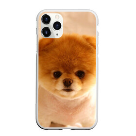 Чехол для iPhone 11 Pro Max матовый с принтом Пушистик в Курске, Силикон |  | dog | пес | померанский | собака | шпиц | щеночек