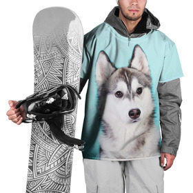 Накидка на куртку 3D с принтом Blue в Курске, 100% полиэстер |  | Тематика изображения на принте: dog | бандит | пес | собака | хаски | хаски бандит | щеночек