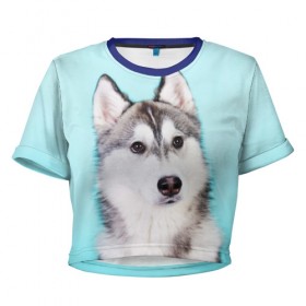 Женская футболка 3D укороченная с принтом Blue в Курске, 100% полиэстер | круглая горловина, длина футболки до линии талии, рукава с отворотами | dog | бандит | пес | собака | хаски | хаски бандит | щеночек
