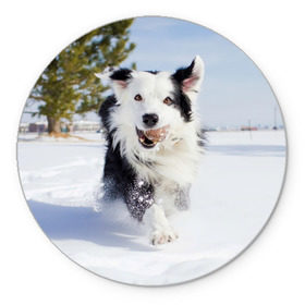 Коврик круглый с принтом Snow в Курске, резина и полиэстер | круглая форма, изображение наносится на всю лицевую часть | Тематика изображения на принте: dog | бордер | бордер колли | колли | пес | собака
