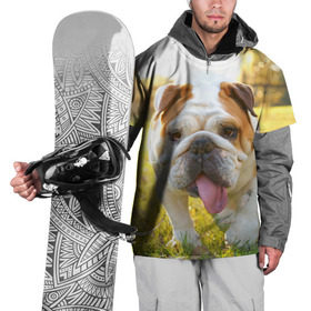 Накидка на куртку 3D с принтом Funny Dog в Курске, 100% полиэстер |  | Тематика изображения на принте: dog | английский бульдог | пес | собака
