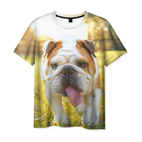 Мужская футболка 3D с принтом Funny Dog в Курске, 100% полиэфир | прямой крой, круглый вырез горловины, длина до линии бедер | dog | английский бульдог | пес | собака
