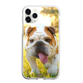 Чехол для iPhone 11 Pro матовый с принтом Funny Dog в Курске, Силикон |  | dog | английский бульдог | пес | собака