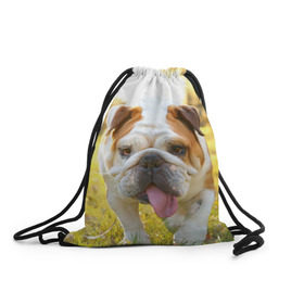 Рюкзак-мешок 3D с принтом Funny Dog в Курске, 100% полиэстер | плотность ткани — 200 г/м2, размер — 35 х 45 см; лямки — толстые шнурки, застежка на шнуровке, без карманов и подкладки | Тематика изображения на принте: dog | английский бульдог | пес | собака