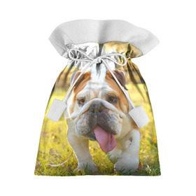 Подарочный 3D мешок с принтом Funny Dog в Курске, 100% полиэстер | Размер: 29*39 см | Тематика изображения на принте: dog | английский бульдог | пес | собака