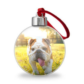 Ёлочный шар с принтом Funny Dog в Курске, Пластик | Диаметр: 77 мм | dog | английский бульдог | пес | собака